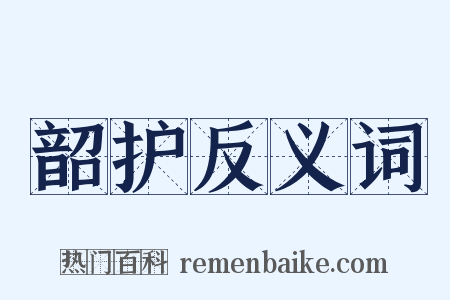 韶护反义词是什么意思的图片